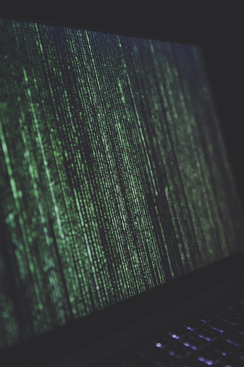 From Concept to Code: A Beginner’s Guide to Mobile App Development