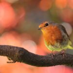 The Future is Mobile: Trends Every Developer Should Know