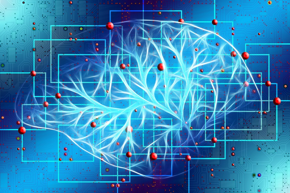 Understanding Neural Networks: A Deep Dive into AI Programming