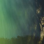 Masters of Machine Learning: The Leading AI Development Firms You Need to Know