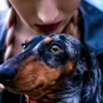 AI Meets Code: Exploring the Best Tools for Streamlined Development