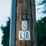 The Future of Coding: Integrating AI into Your Development Workflow
